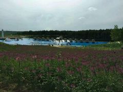 -北纬44度·金珠花海休闲农业旅游景区