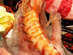 -鲜入围煮花胶鸡海鲜火锅