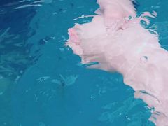 -杭州浪浪浪水公园