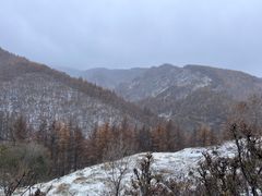 -苏木山森林公园