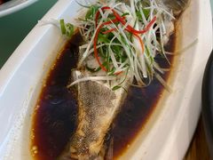 -辽宁大厦海鲜渔港