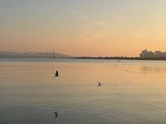 -深圳湾公园(南山区)
