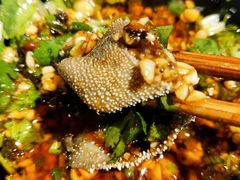 -钢管厂五区小郡肝火锅串串香(总店)