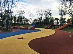 -春花秋色城市公园