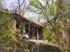 -大青沟风景区