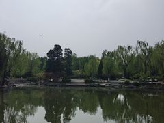-近春园遗址