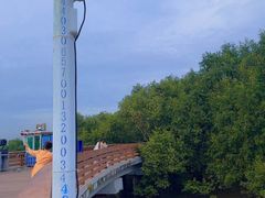 -宝安西湾红树林湿地公园