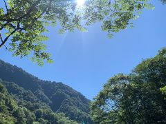 -西岭雪山大飞水景区