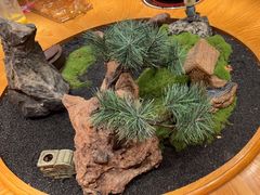 -老阿爸鲜鱼土菜(独墅湖店)