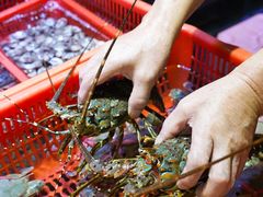 -巽寮印象美食部落餐厅·海鲜·地方特色菜(惠州体验店)