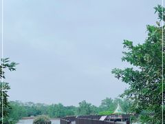 -大湾区中央湿地公园