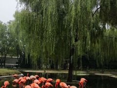 -石家庄市动物园