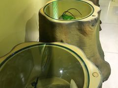 -上海昆虫博物馆