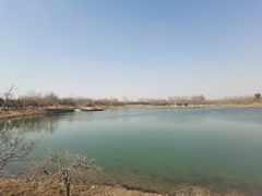 -东郊湿地公园