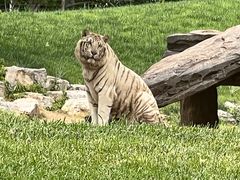 -北京野生动物园