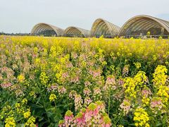 -中国天府农业博览园