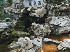 -上海醉白池公园