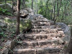 -大岭沟猕猴桃谷风景区