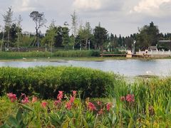 -呈贡滇池生态湿地公园