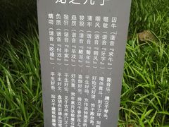 -东航云逸酒店(九溪烟树店)