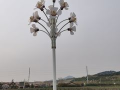 -西海岸生态观光园
