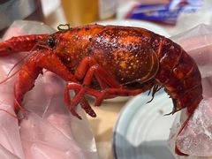 -怪怪龙虾·来自江苏盱眙(惊驾路店)