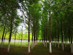 -云南艺术学院(呈贡校区)