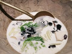-云海肴云南菜·蒸汽石锅鱼(青岛万象城店)