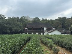 -杭州西湖风景名胜区-三生石