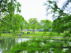 -上海辰山植物园
