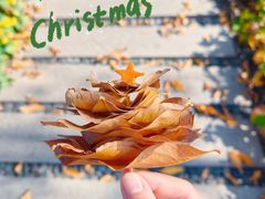 -上海山野camping·户外天幕烧烤·团建拓展营地