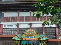 -西双版纳原始森林公园
