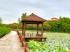 -艾溪湖湿地公园