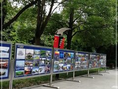 -溱湖国家湿地公园