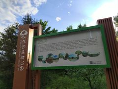 -东郊湿地公园