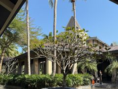 -海南清水湾莱佛士酒店