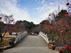 -苏州上方山国家森林公园