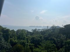 -圣淘沙天际线斜坡滑车