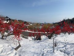 -威海华夏城景区