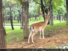 -秦皇岛野生动物园