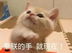 -银座Calla日式美容沙龙