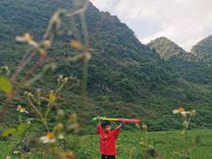 -靖西鹅泉风景区