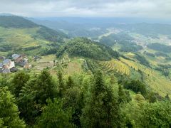 -紫鹊界梯田景区