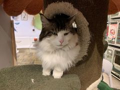 -小时光咖啡馆(北锣鼓巷店)