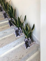 -海涛医疗美容·面部抗衰·注射美鼻