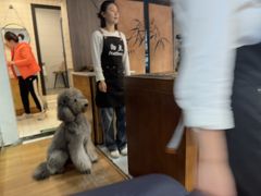 -沏点Trattoria意大利餐厅(新街口店)