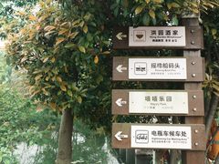 -西溪国家湿地公园