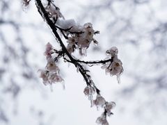 -大围山国家森林公园