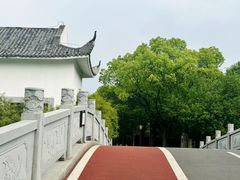 -八大山人梅湖景区