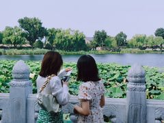 -御茶膳房皇家糕点博物馆(北京首店)